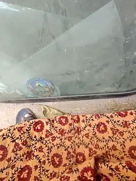 Snapshot of Kolkata___Boy chatting on February 2025 08:27:02 AM Kolkata   Boy online show from February 2025 08:27:02 AM