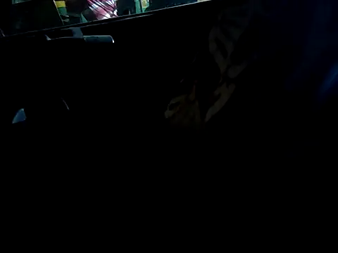 Snapshot of Kolkata___Boy chatting on September 2025 04:52:02 PM Kolkata   Boy online show from September 2025 04:52:02 PM